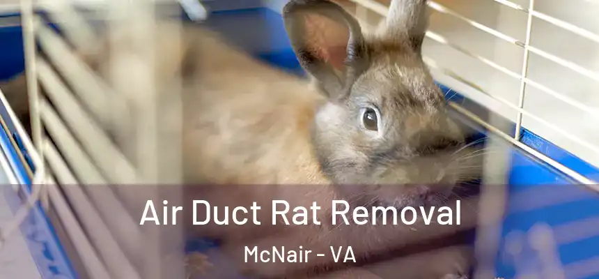  Air Duct Rat Removal McNair - VA