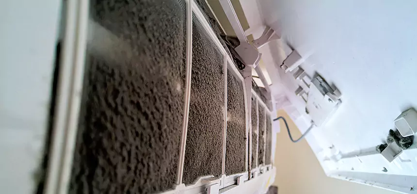 Preventive Air Duct Bacteria Removal in McNair