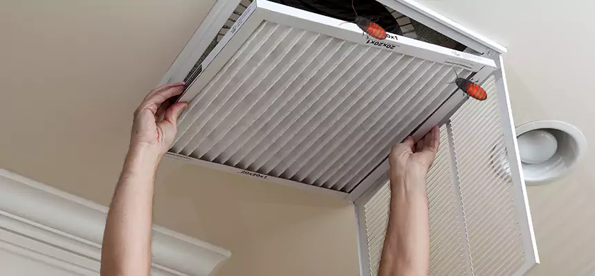 Our Insect Removal from Air Ducts Services in McNair, VA