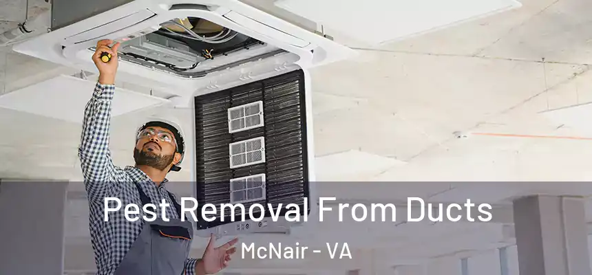  Pest Removal From Ducts McNair - VA