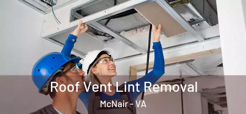  Roof Vent Lint Removal McNair - VA