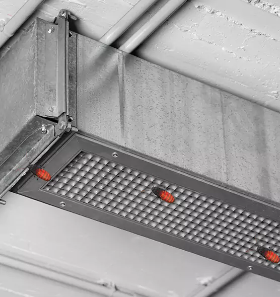About Air Duct Cockroach Removal in McNair, VA