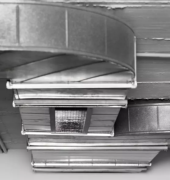 Professional Air Duct Pet Hair Removal in McNair, VA