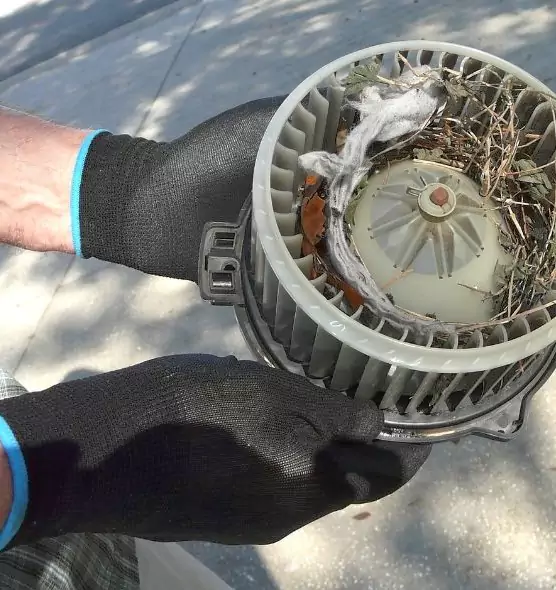 About Air Duct Rat Removal in McNair, VA